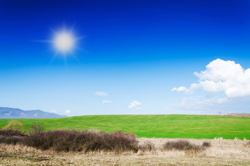 green field and blue sky