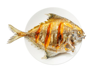Deep fried black pomfret fish