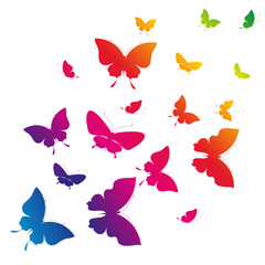 butterflies design