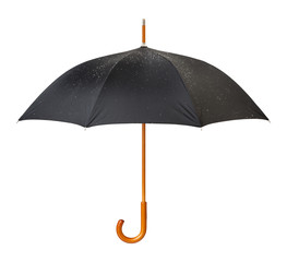 Wet Umbrella isolated