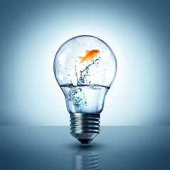 energy change concept - goldfish jumping into a light bulb - up