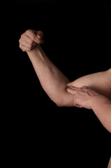 Human anatomy series: aponeurosis m. bicipitis brachii