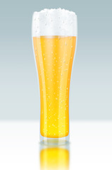 Glass of beer, Bier Glas