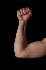 Fototapeta premium Human anatomy series: arm