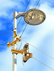 Streetlights