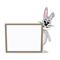 gray bunny look behind board isolated background