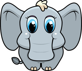 Fototapeta premium Baby Elephant
