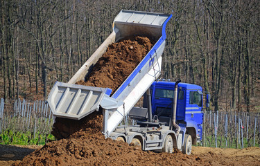 Muldenkipper © Michael Möller