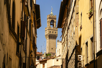 Fototapeta na wymiar Tower of Palazzo Vecchio view from Santa Croce square, Florence,