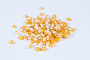 Corn seeds