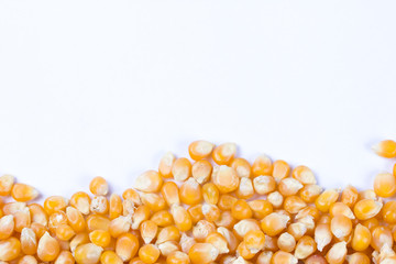 Corn seeds