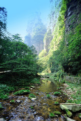 golden whip brook in zhangjiajie national forest park