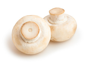 champignon isolated