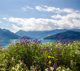 Gefühl von Unendlichkeit: See in der Schweiz