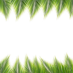 Naklejka premium Green coconut leaf frame isolated on white background