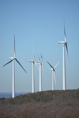 Parque eolico, aerogeneradores