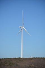 Fototapeta premium Aerogenerador , molino eolico