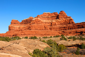 Fototapeta premium Canyonlands National Park Landscape