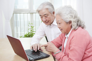 .Senior couple using laptop.