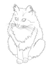 cat drawing. Vector illustration