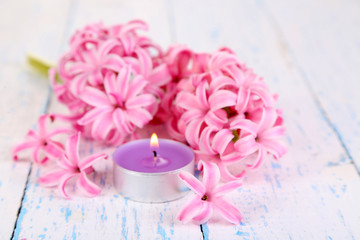 Pink hyacinth with candle on wooden background