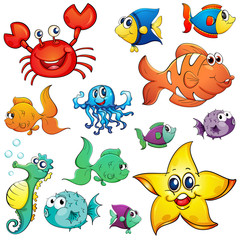 Different sea creatures