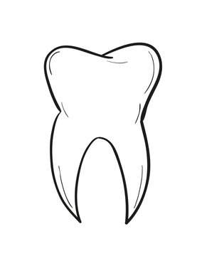 sketch of the tooth