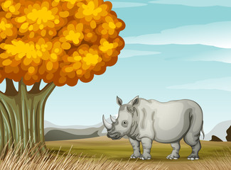 A rhinoceros near the tree
