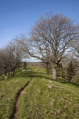 Walking path on a hill