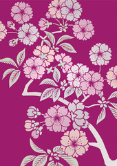 グラフィックパターン