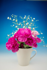 カーネーション