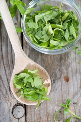 Tarragon