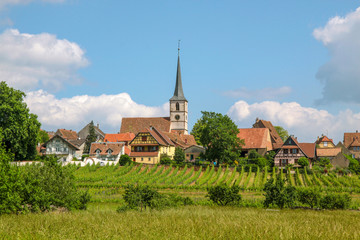 Fototapeta na wymiar Village with vineyards
