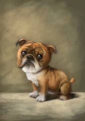 Obraz premium perro bulldog