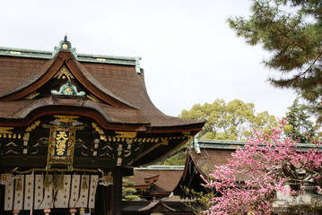 北野天満宮の早春