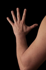 Back of the hand