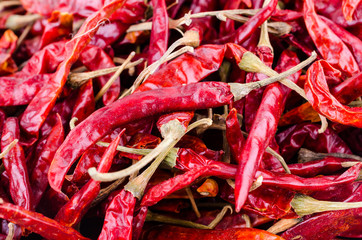 dried red chilli pepper isolated white background