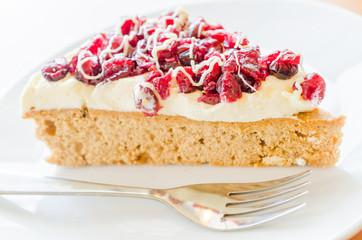 Cranberry cake