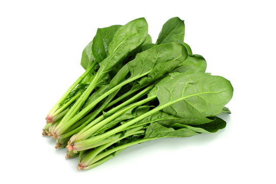 ほうれん草