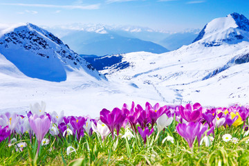 Frühling im Gebirge