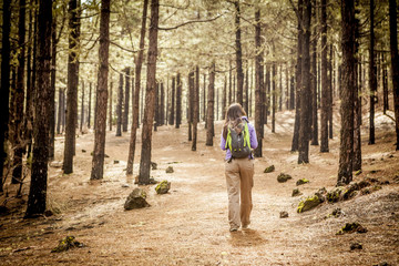 young woman hiking in a pine wood