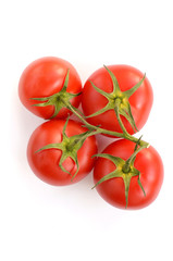 Tomaten isoliert