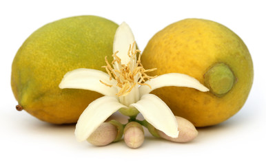 Lemons with flower