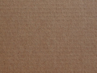 Fototapeta premium corrugated cardboard blank sheet