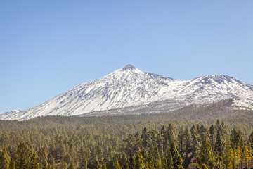Fototapeta premium Beautiful scenic view of mount Teide national park in Tenerife,