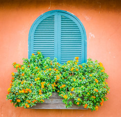 Tuscany window