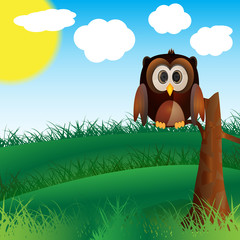 Owl In Nature