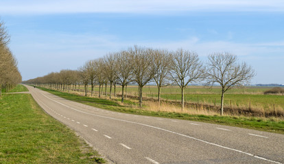 Motorcyclist driving through the countryside