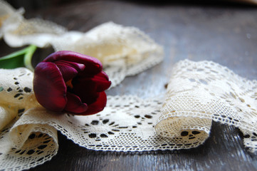 Tulip and Lace. Vintage Style Photo