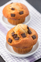 Fresh chocolate chip muffin